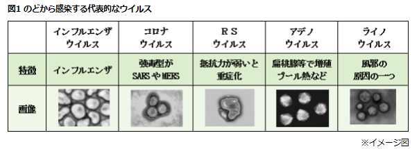 コロナウイルスに対するコロイドヨードの可能性【注目の研究結果】 - JCIコロイドイヨード研究所